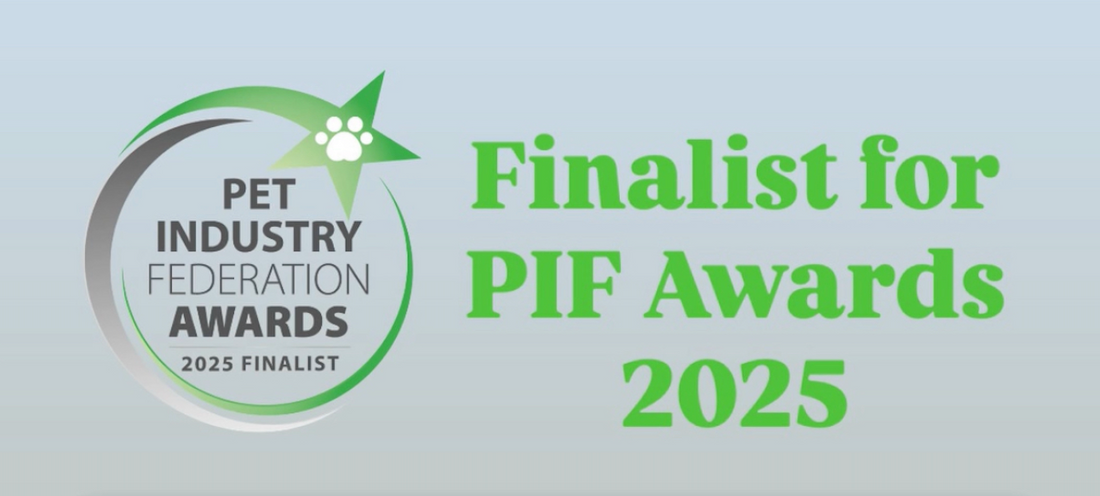š¾ Waita Pets Finalist at the 2025 PIF Awards!