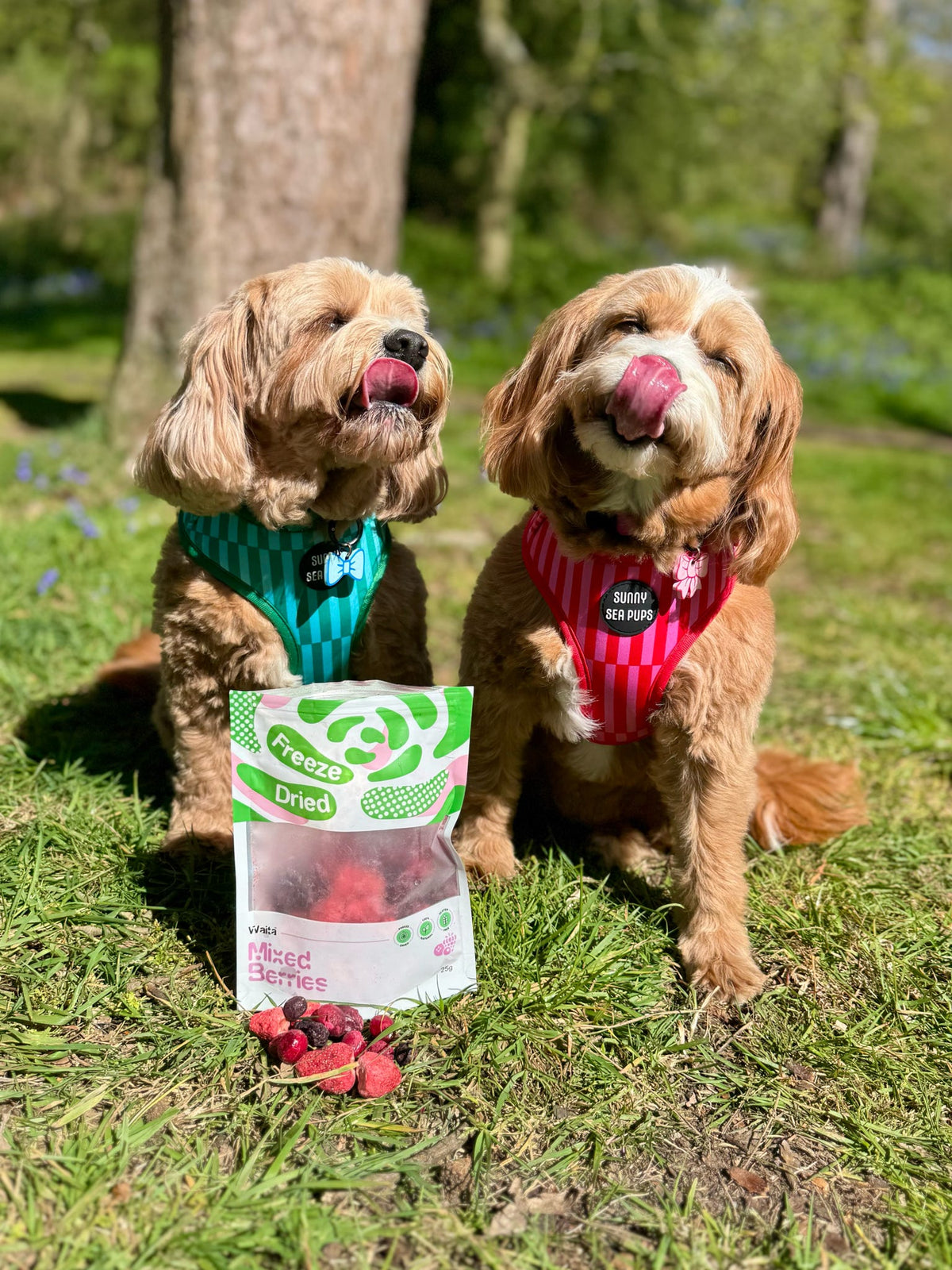 Waita Freeze-Dried Mixed Berries (25g/250g)