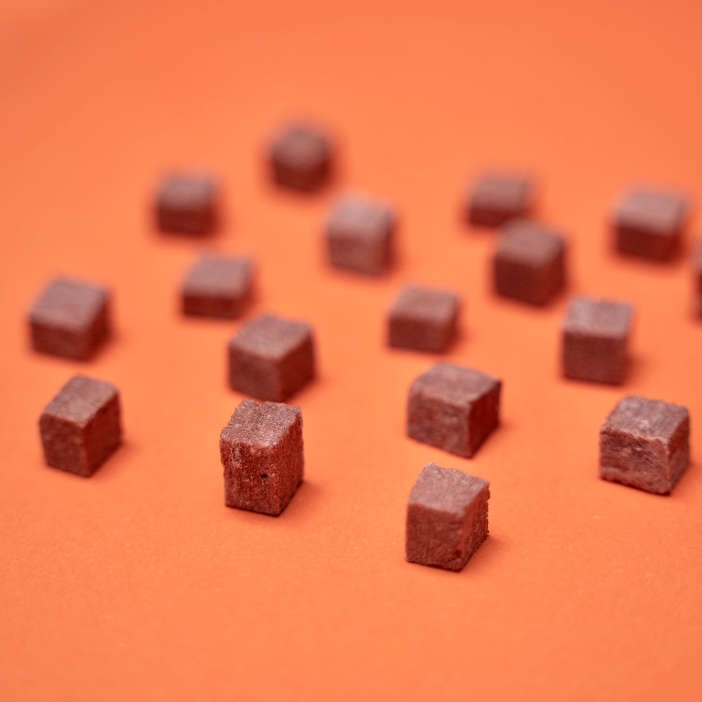 Waita Freeze Dried Duck Blood 50g/500g - All in 1*1*1 cube