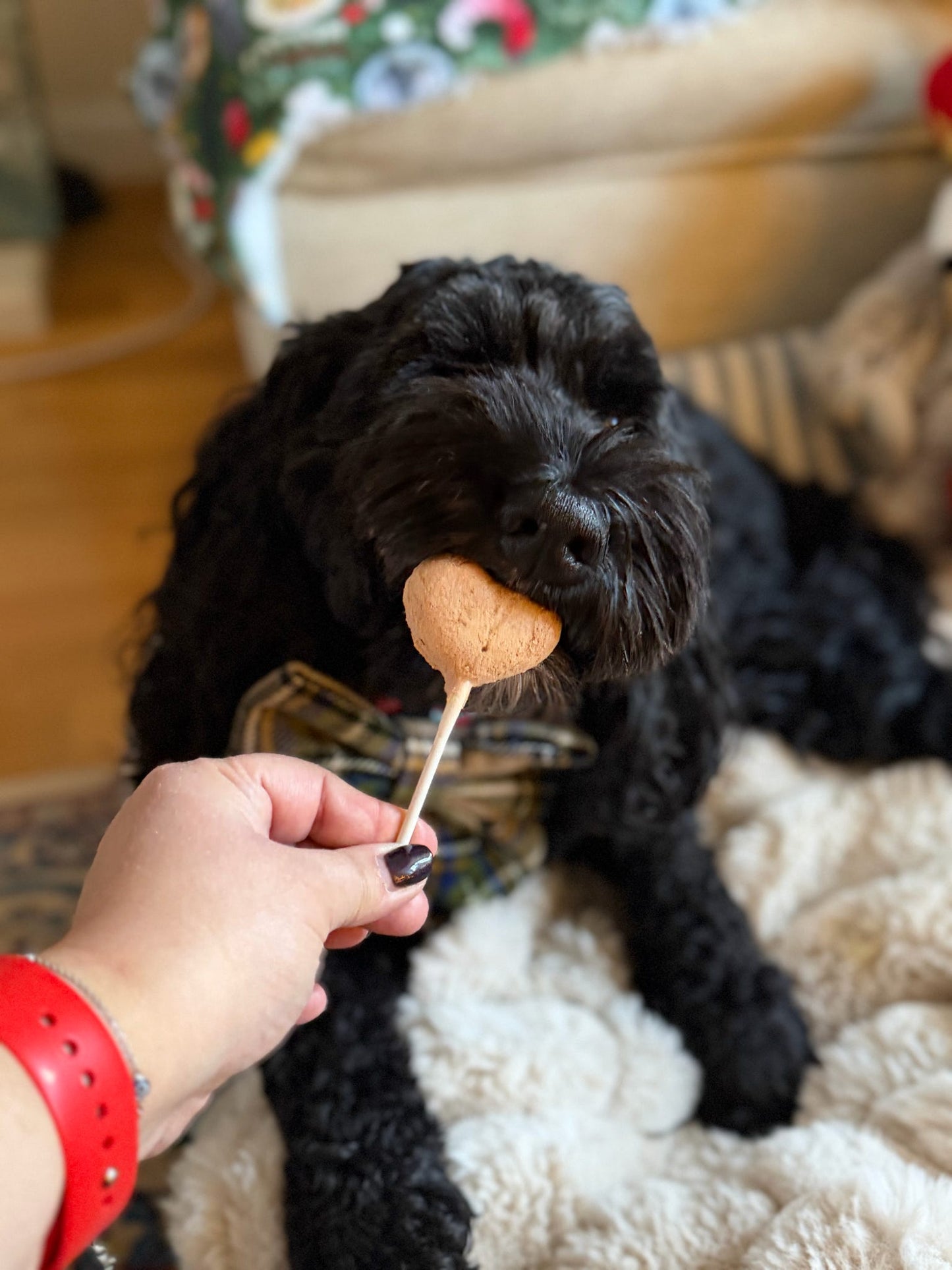 Waita Freeze-Dried Duck Lollipops – 5 Packs