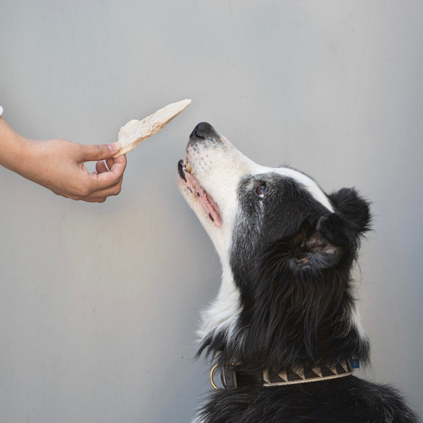 Waita Freeze Dried Duck Breast 40g/350g