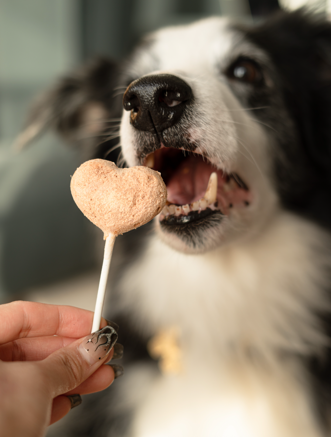 Waita Chicken & Purple Potato Lollipop (Single Pack)