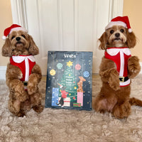 Exciting news! Waita Pets is featured in Edition Dog 📖