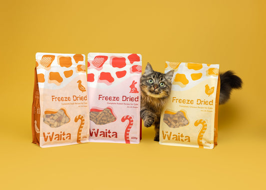 Why Freeze Dried is the Best Choice for Your Pet?
