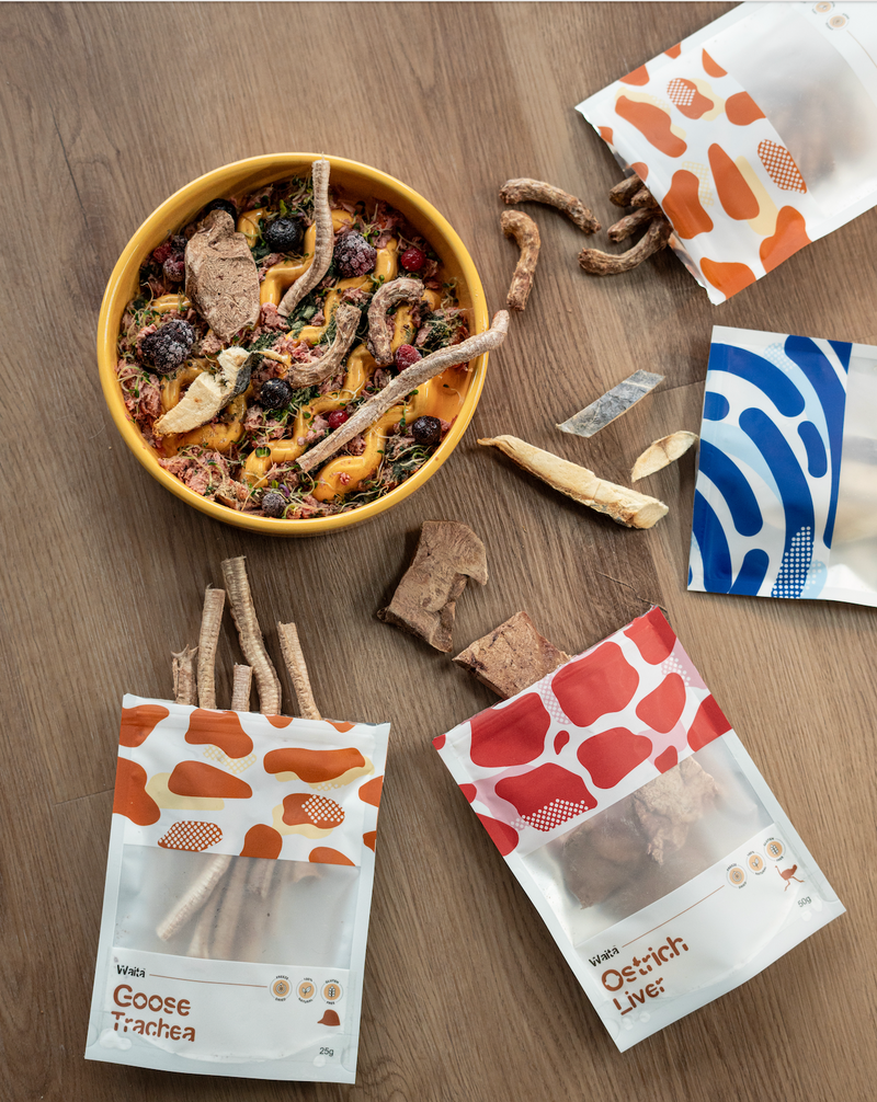 Waita Pets Featured in Official Crufts Interview!