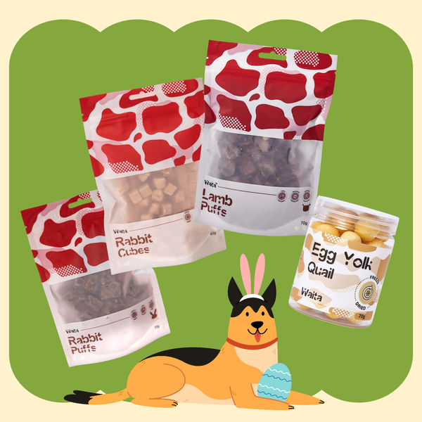 Waita Easter Bundle 🐣🐶🐱