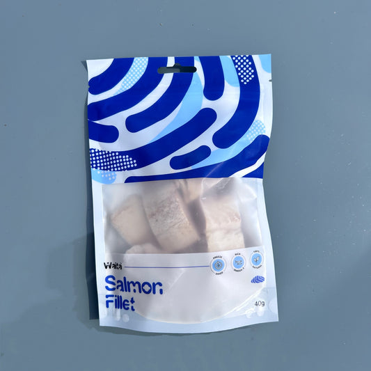 Waita Freeze Dried Salmon 40g