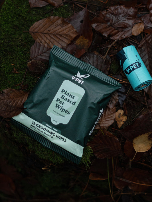 🐾 BAMBOO PET WIPES (12pcs) - 100% BIODEGRADABLE