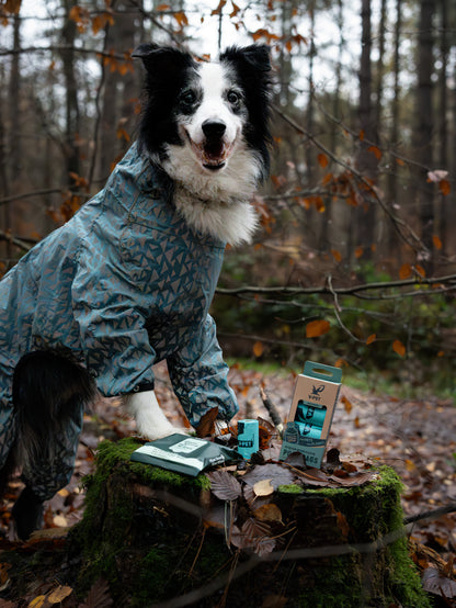 🐾 OCEAN-BOUND PLASTIC POOP BAGS (60Pcs/120Pcs/270Pcs/300SingleRoll)
