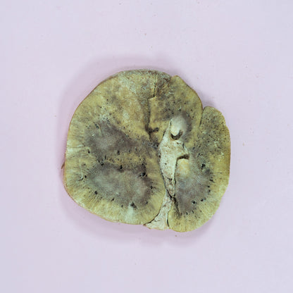 Waita Freeze Dried Beef Kidney 50g/500g