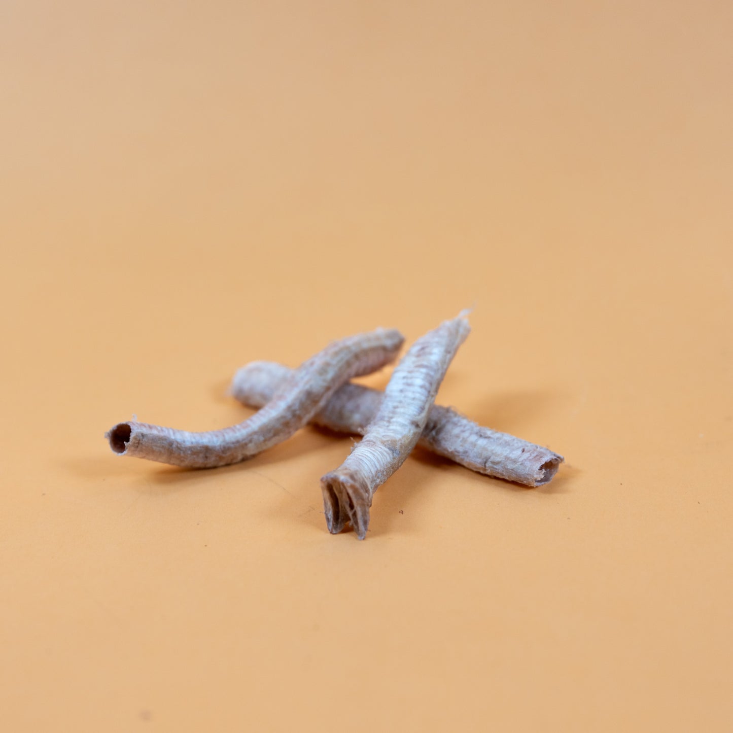 Waita Freeze Dried Goose Trachea 25g/250g