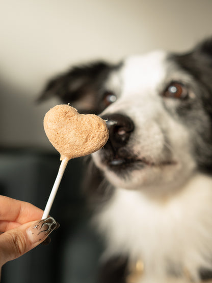 💕Waita Valentine’s Freeze-Dried Bundle