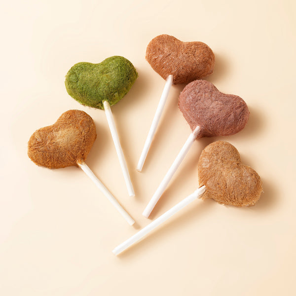 Waita Freeze-Dried Duck Lollipops - Ducky with 🌈 5 Fun Flavours