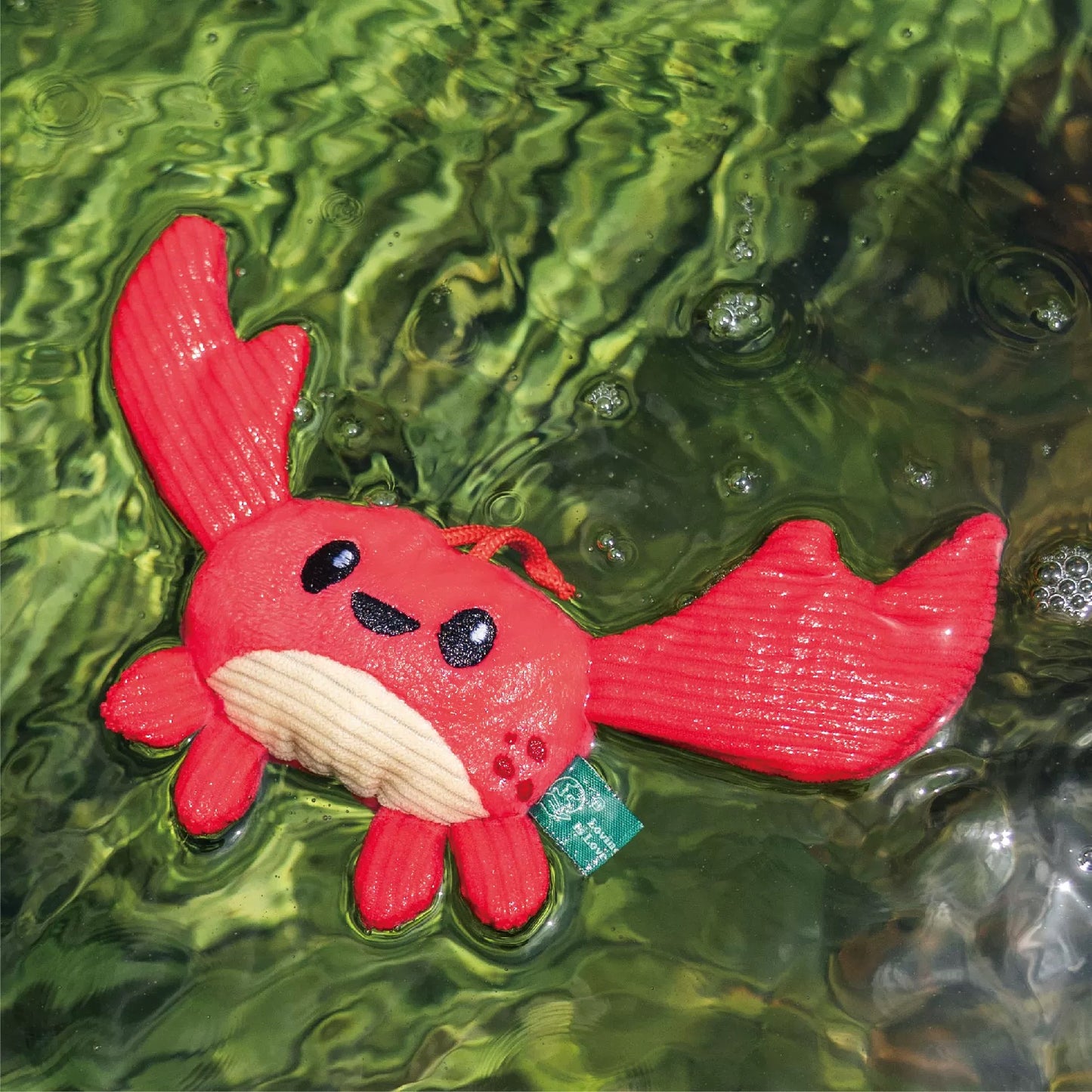 Crab – Sea Creatures 🦀🌊