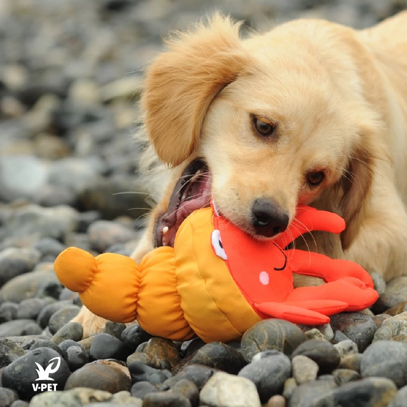 Pagurian – Save Our Seas Collection 🌊🦀