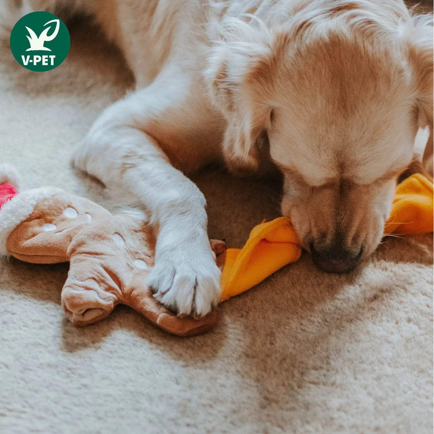 Gingerbread Man - Dispensing Puzzle Toy