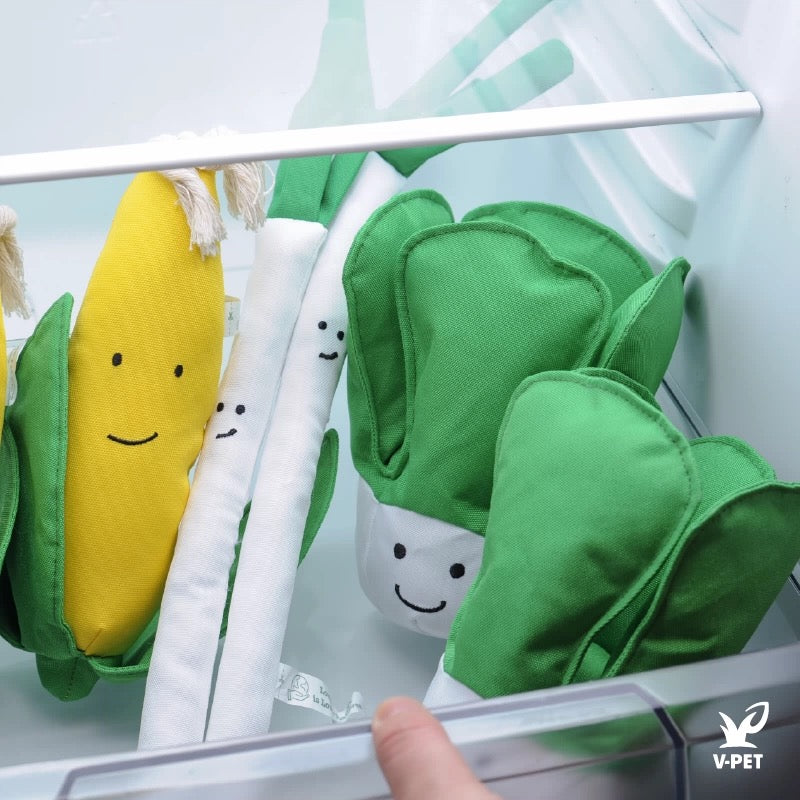 Cabbage – I Love Vegetables Collection 🥬💚