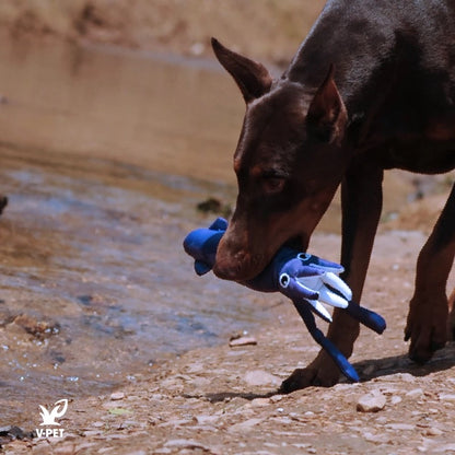 Squid – Save Our Seas Collection 🌊🦑