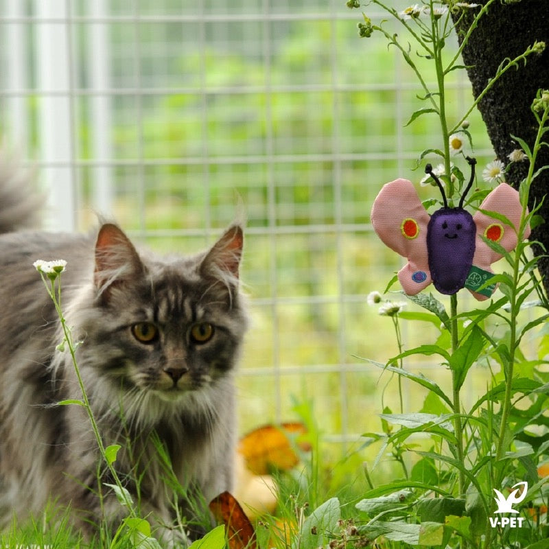 Butterfly – RPET Catnip Toy 🦋🐱