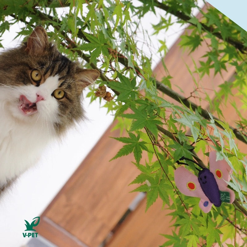 Butterfly – RPET Catnip Toy 🦋🐱