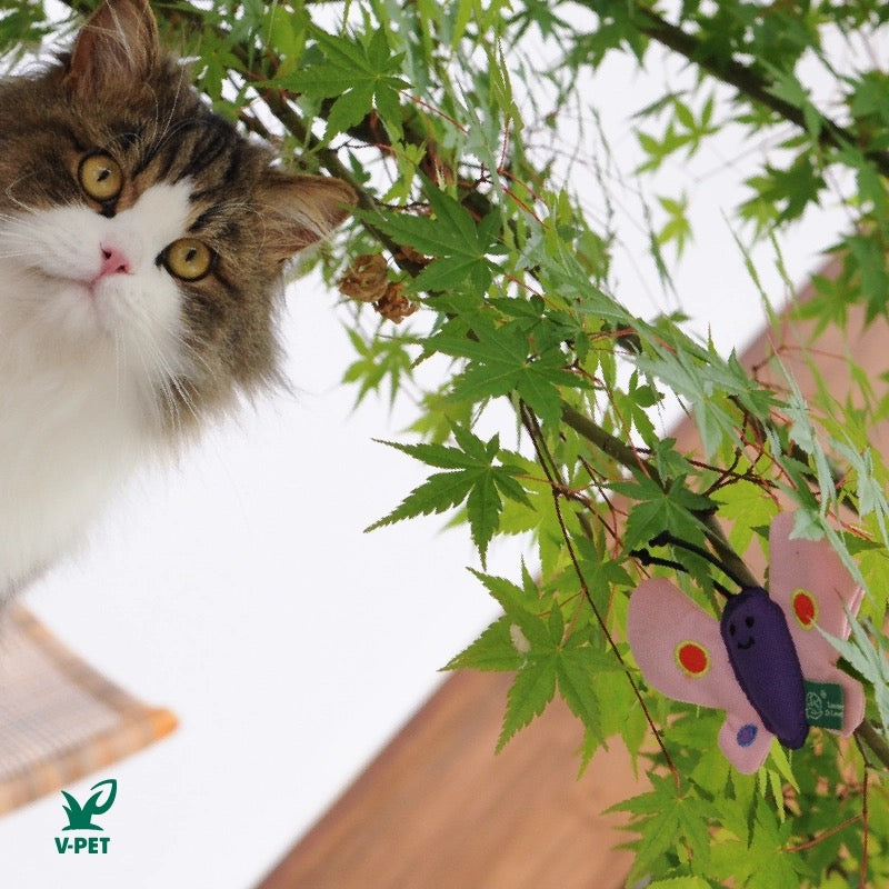 Butterfly – RPET Catnip Toy 🦋🐱