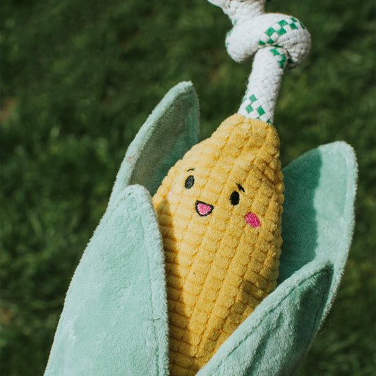 🌽 Stuffing-Free Corn