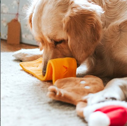 Gingerbread Man - Dispensing Puzzle Toy