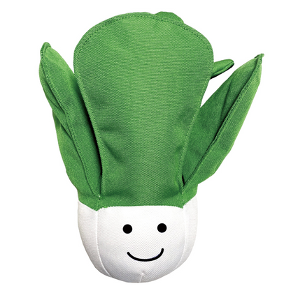 Cabbage – I Love Vegetables Collection 🥬💚