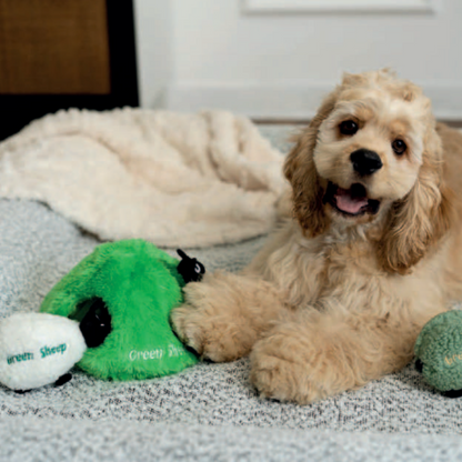 🐑 Green Sheep Hide & Seek Dog Toy