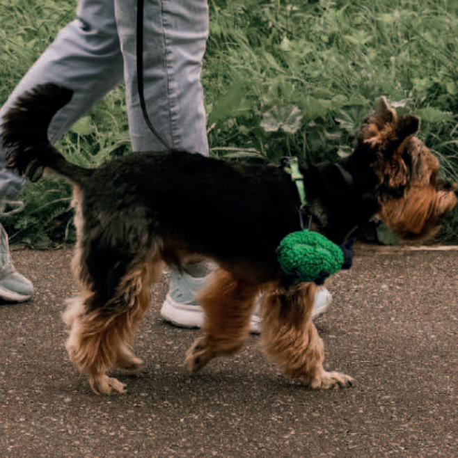 🐑✨ Sheep Poop Bag Dispensers — Green & White