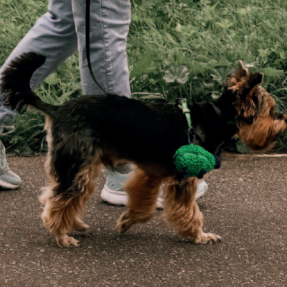 🐑✨ Sheep Poop Bag Dispensers — Green & White