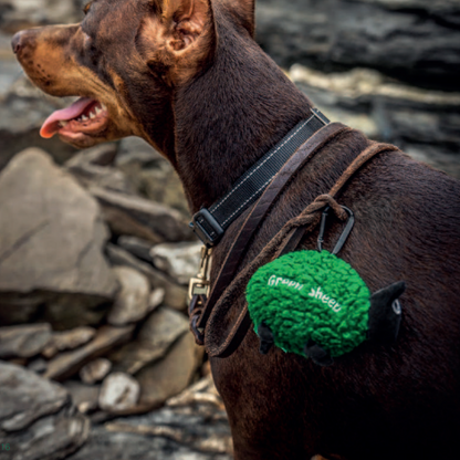 🐑✨ Sheep Poop Bag Dispensers — Green & White