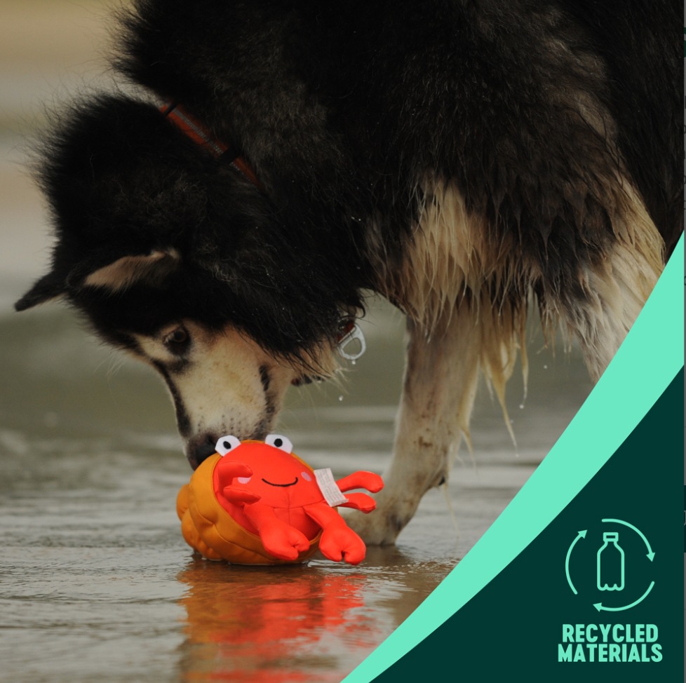 Pagurian – Save Our Seas Collection 🌊🦀