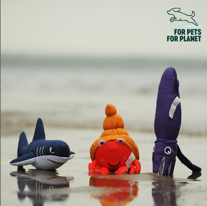 Pagurian – Save Our Seas Collection 🌊🦀