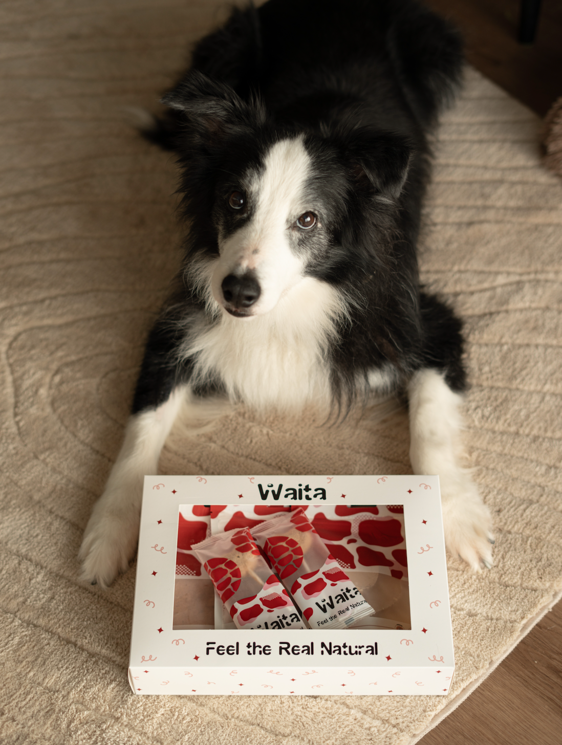 💕Waita Valentine’s Freeze-Dried Bundle