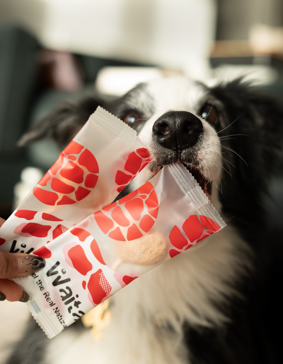 💕Waita Valentine’s Freeze-Dried Bundle