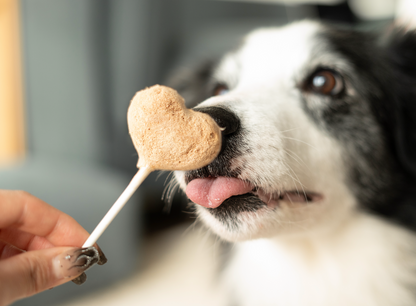 Waita Chicken & Purple Potato Lollipop (Single Pack)